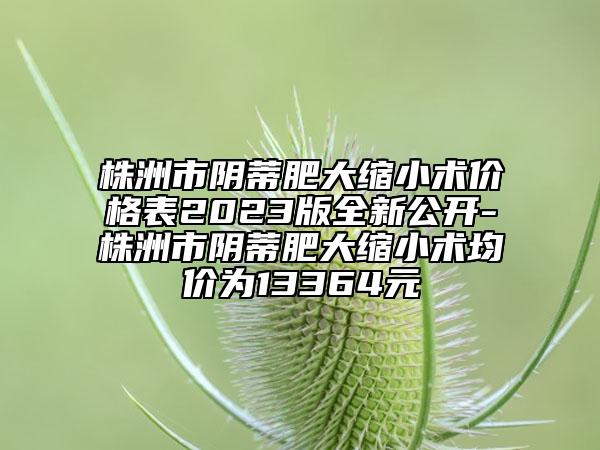 株洲市陰蒂肥大縮小術(shù)價格表2023版全新公開-株洲市陰蒂肥大縮小術(shù)均價為13364元