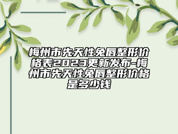 梅州市先天性兔唇整形價(jià)格表2023更新發(fā)布-梅州市先天性兔唇整形價(jià)格是多少錢