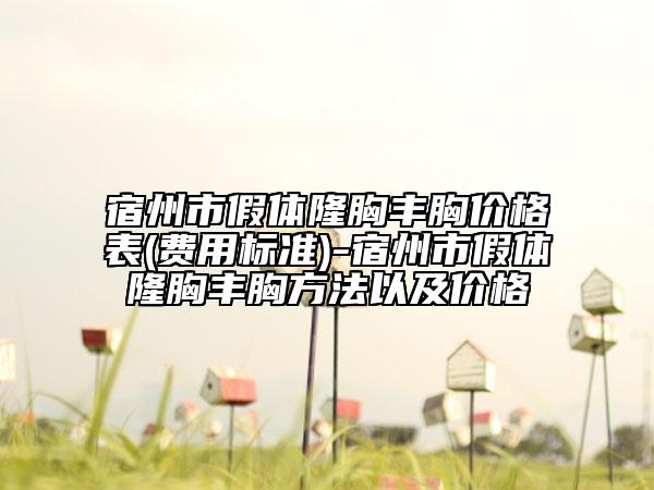 宿州市假體隆胸豐胸價(jià)格表(費(fèi)用標(biāo)準(zhǔn))-宿州市假體隆胸豐胸方法以及價(jià)格