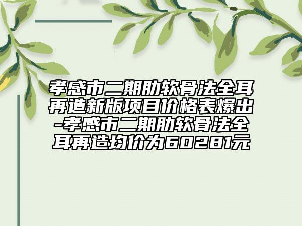 孝感市二期肋軟骨法全耳再造新版項(xiàng)目?jī)r(jià)格表爆出-孝感市二期肋軟骨法全耳再造均價(jià)為60281元