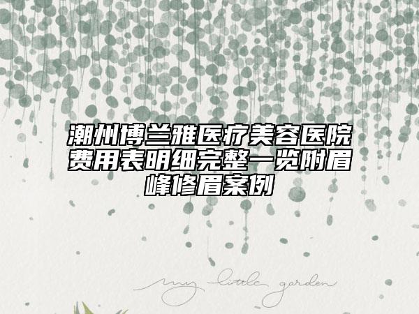 潮州博蘭雅醫(yī)療美容醫(yī)院費(fèi)用表明細(xì)完整一覽附眉峰修眉案例