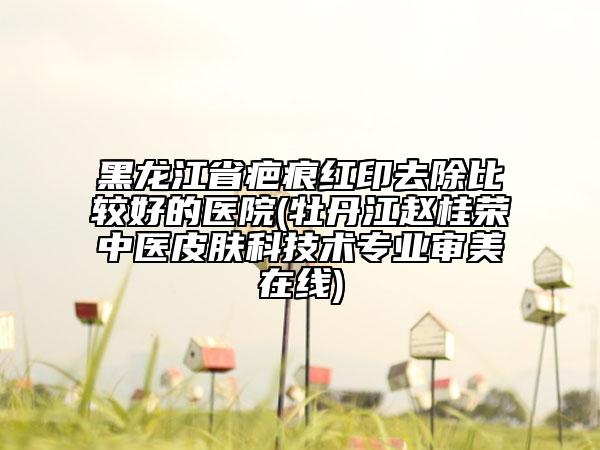 黑龍江省疤痕紅印去除比較好的醫(yī)院(牡丹江趙桂榮中醫(yī)皮膚科技術專業(yè)審美在線)