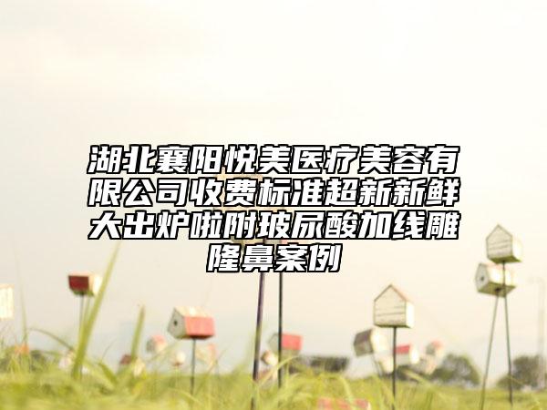 湖北襄陽悅美醫(yī)療美容有限公司收費(fèi)標(biāo)準(zhǔn)超新新鮮大出爐啦附玻尿酸加線雕隆鼻案例