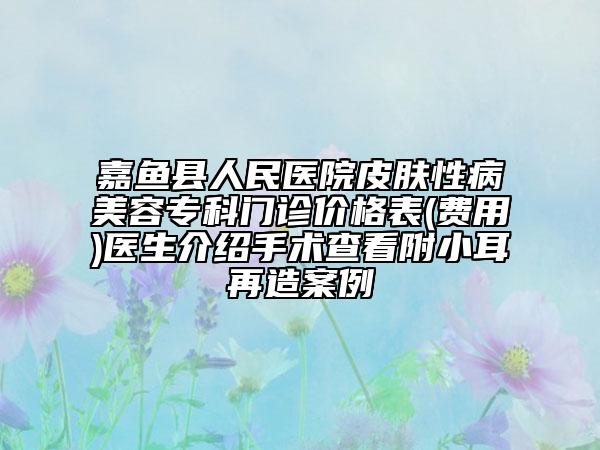 嘉魚縣人民醫(yī)院皮膚性病美容?？崎T診價(jià)格表(費(fèi)用)醫(yī)生介紹手術(shù)查看附小耳再造案例