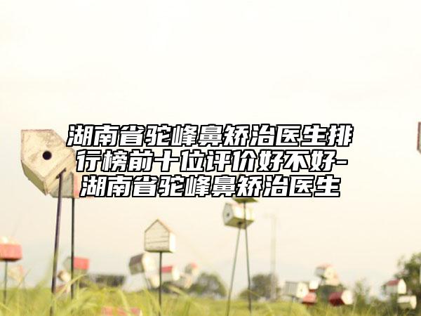 湖南省駝峰鼻矯治醫(yī)生排行榜前十位評價好不好-湖南省駝峰鼻矯治醫(yī)生