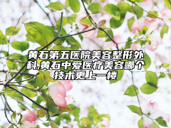 黃石第五醫(yī)院美容整形外科,黃石中愛醫(yī)療美容哪個技術(shù)更上一樓