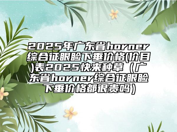 2025年廣東省horner綜合征眼瞼下垂價(jià)格(價(jià)目)表2025快來(lái)種草（廣東省horner綜合征眼瞼下垂價(jià)格都很貴嗎）