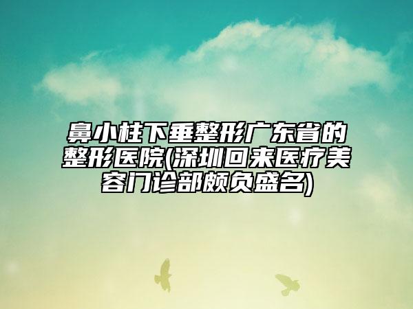 鼻小柱下垂整形廣東省的整形醫(yī)院(深圳回來醫(yī)療美容門診部頗負(fù)盛名)