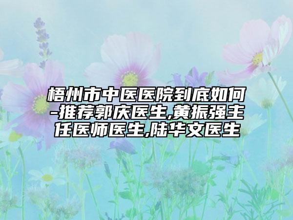 梧州市中醫(yī)醫(yī)院到底如何-推薦郭慶醫(yī)生,黃振強(qiáng)主任醫(yī)師醫(yī)生,陸華文醫(yī)生
