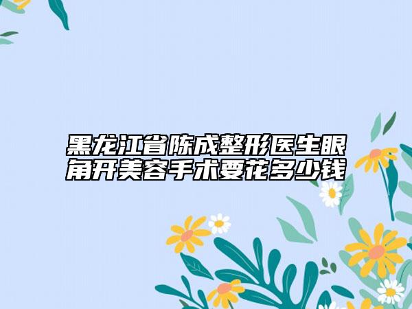 黑龍江省陳成整形醫(yī)生眼角開美容手術(shù)要花多少錢