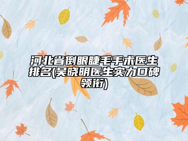 河北省倒眼睫毛手術(shù)醫(yī)生排名(吳曉明醫(yī)生實力口碑領(lǐng)銜)