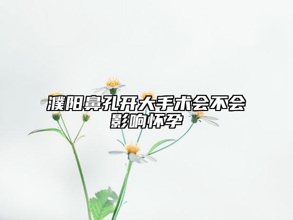 濮陽(yáng)鼻孔開(kāi)大手術(shù)會(huì)不會(huì)影響懷孕