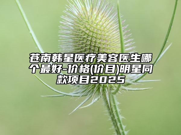 蒼南韓星醫(yī)療美容醫(yī)生哪個(gè)最好-價(jià)格(價(jià)目)明星同款項(xiàng)目2025