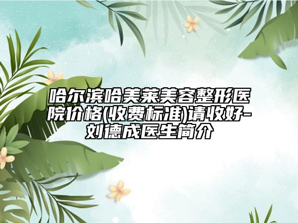 哈爾濱哈美萊美容整形醫(yī)院價格(收費標(biāo)準(zhǔn))請收好-劉德成醫(yī)生簡介