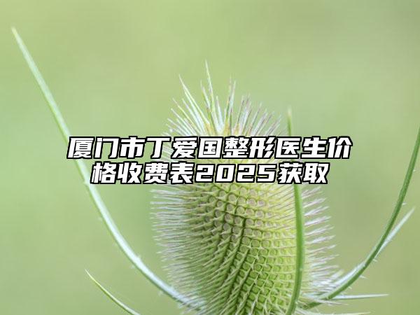 廈門(mén)市丁愛(ài)國(guó)整形醫(yī)生價(jià)格收費(fèi)表2025獲取