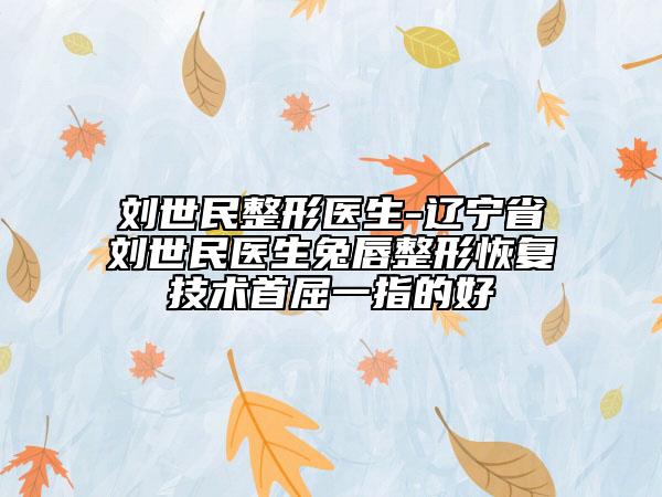 劉世民整形醫(yī)生-遼寧省劉世民醫(yī)生兔唇整形恢復技術(shù)首屈一指的好
