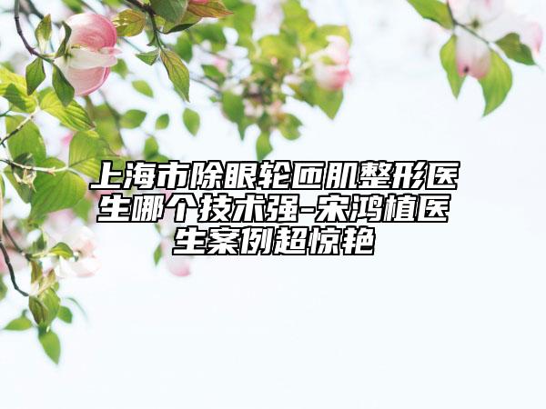 上海市除眼輪匝肌整形醫(yī)生哪個技術(shù)強-宋鴻植醫(yī)生案例超驚艷
