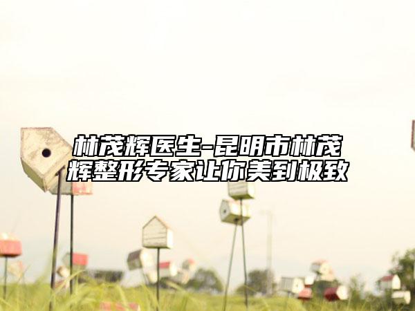 林茂輝醫(yī)生-昆明市林茂輝整形專家讓你美到極致