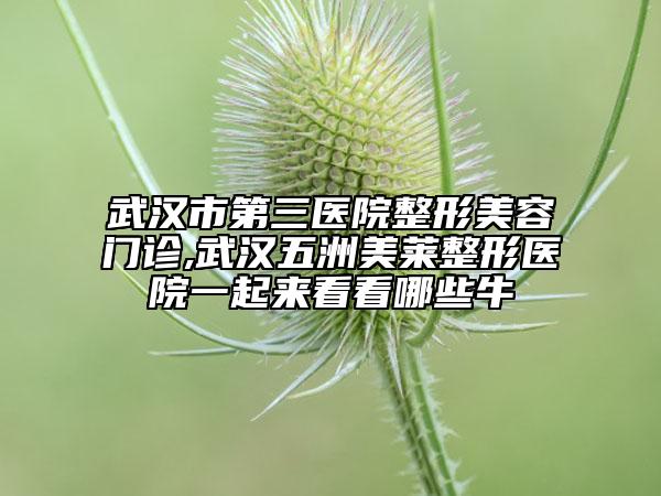 武漢市第三醫(yī)院整形美容門(mén)診,武漢五洲美萊整形醫(yī)院一起來(lái)看看哪些牛