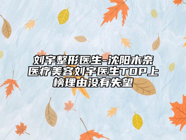 劉宇整形醫(yī)生-沈陽木奈醫(yī)療美容劉宇醫(yī)生TOP上榜理由沒有失望