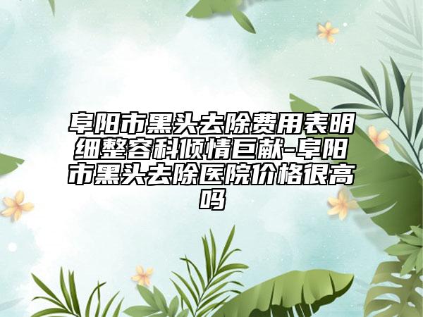 阜陽市黑頭去除費用表明細整容科傾情巨獻-阜陽市黑頭去除醫(yī)院價格很高嗎