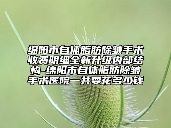綿陽(yáng)市自體脂肪除皺手術(shù)收費(fèi)明細(xì)全新升級(jí)內(nèi)部結(jié)構(gòu)-綿陽(yáng)市自體脂肪除皺手術(shù)醫(yī)院一共要花多少錢(qián)