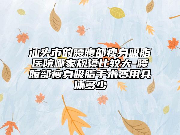 汕頭市的腰腹部瘦身吸脂醫(yī)院哪家規(guī)模比較大-腰腹部瘦身吸脂手術(shù)費用具體多少