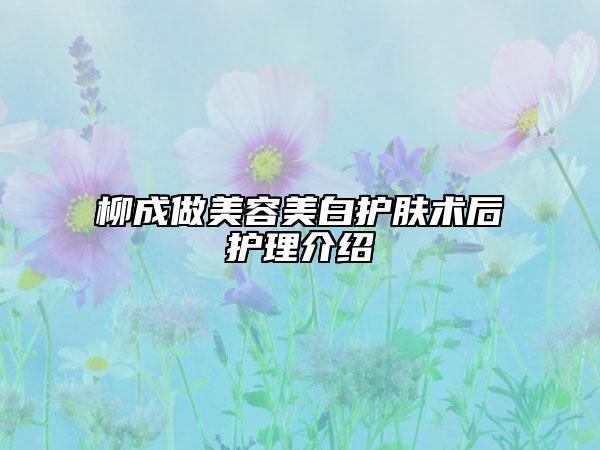 柳成做美容美白護膚術(shù)后護理介紹