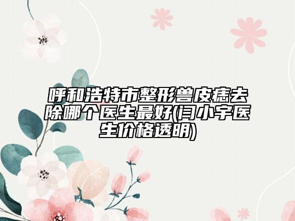 呼和浩特市整形獸皮痣去除哪個(gè)醫(yī)生最好(閆小宇醫(yī)生價(jià)格透明)