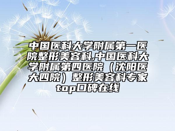 中國(guó)醫(yī)科大學(xué)附屬第一醫(yī)院整形美容科,中國(guó)醫(yī)科大學(xué)附屬第四醫(yī)院（沈陽(yáng)醫(yī)大四院）整形美容科專(zhuān)家top口碑在線