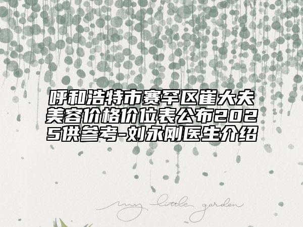 呼和浩特市賽罕區(qū)崔大夫美容價格價位表公布2025供參考-劉永剛醫(yī)生介紹