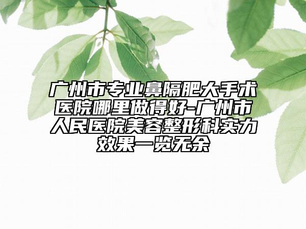 廣州市專業(yè)鼻隔肥大手術(shù)醫(yī)院哪里做得好-廣州市人民醫(yī)院美容整形科實(shí)力效果一覽無(wú)余