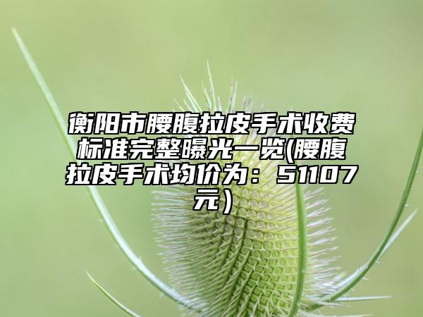 衡陽市腰腹拉皮手術(shù)收費(fèi)標(biāo)準(zhǔn)完整曝光一覽(腰腹拉皮手術(shù)均價為：51107元）