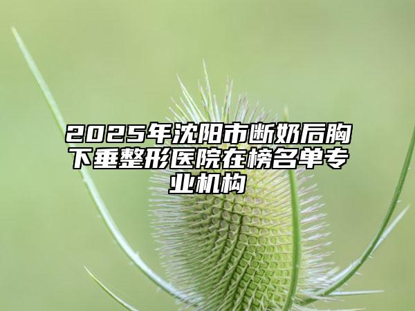 2025年沈陽市斷奶后胸下垂整形醫(yī)院在榜名單專業(yè)機構