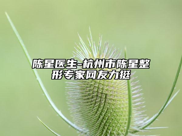 陳星醫(yī)生-杭州市陳星整形專家網(wǎng)友力挺