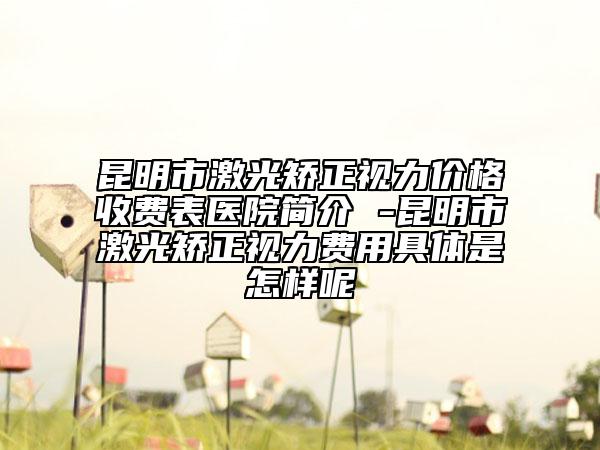 昆明市激光矯正視力價(jià)格收費(fèi)表醫(yī)院簡介 -昆明市激光矯正視力費(fèi)用具體是怎樣呢