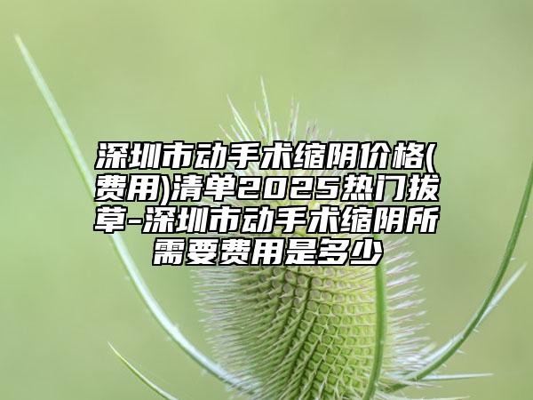 深圳市動(dòng)手術(shù)縮陰價(jià)格(費(fèi)用)清單2025熱門拔草-深圳市動(dòng)手術(shù)縮陰所需要費(fèi)用是多少