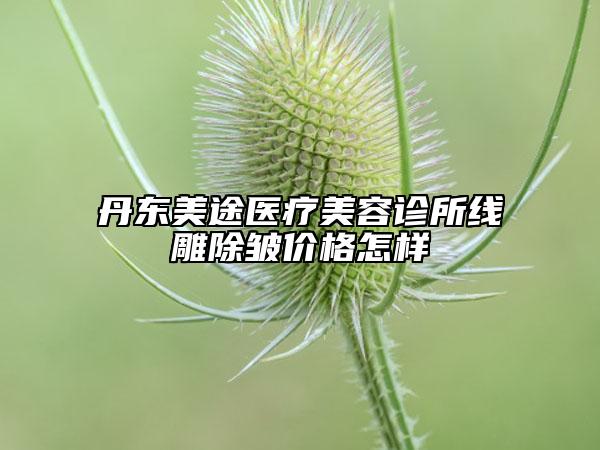 丹東美途醫(yī)療美容診所線雕除皺價格怎樣