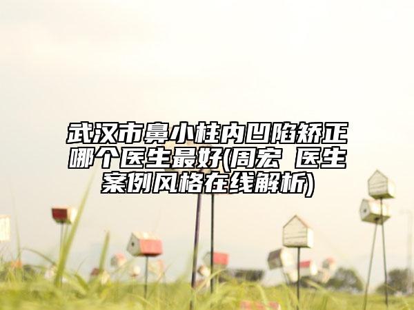 武漢市鼻小柱內凹陷矯正哪個醫(yī)生最好(周宏礽醫(yī)生案例風格在線解析)