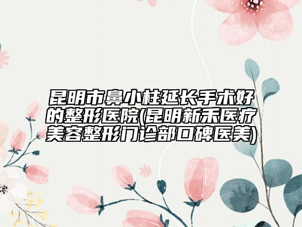 昆明市鼻小柱延長(zhǎng)手術(shù)好的整形醫(yī)院(昆明新禾醫(yī)療美容整形門(mén)診部口碑醫(yī)美)
