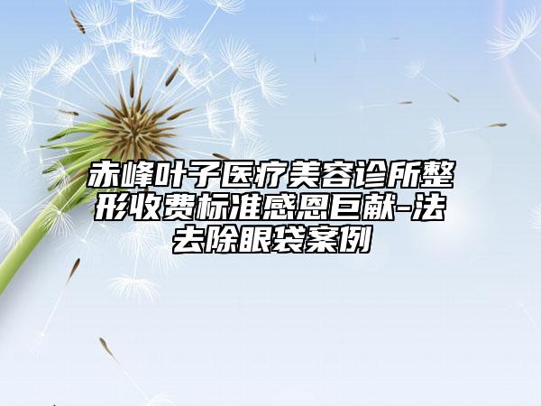 赤峰葉子醫(yī)療美容診所整形收費(fèi)標(biāo)準(zhǔn)感恩巨獻(xiàn)-法去除眼袋案例