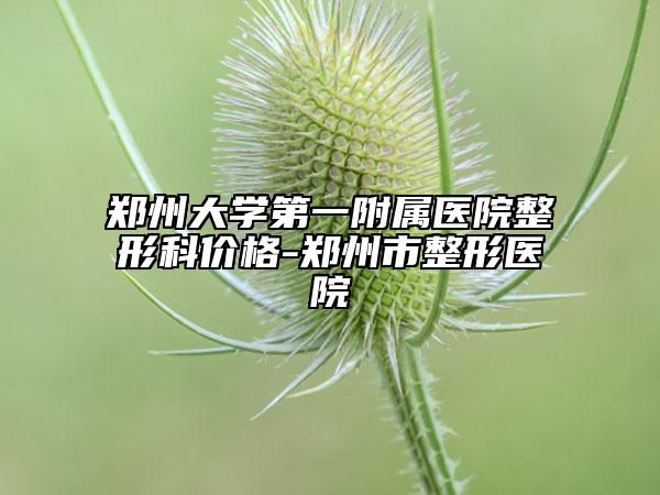 鄭州大學(xué)第一附屬醫(yī)院整形科價(jià)格-鄭州市整形醫(yī)院