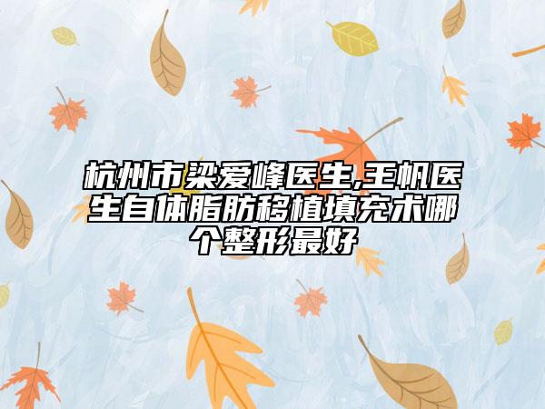 杭州市梁愛峰醫(yī)生,王帆醫(yī)生自體脂肪移植填充術(shù)哪個(gè)整形最好