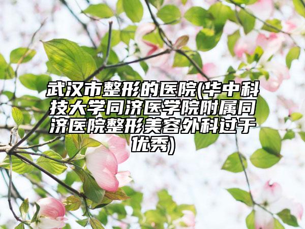 武漢市整形的醫(yī)院(華中科技大學(xué)同濟(jì)醫(yī)學(xué)院附屬同濟(jì)醫(yī)院整形美容外科過(guò)于優(yōu)秀)