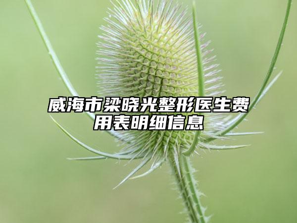 威海市梁曉光整形醫(yī)生費用表明細信息