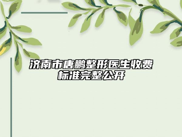 濟(jì)南市唐鵬整形醫(yī)生收費標(biāo)準(zhǔn)完整公開