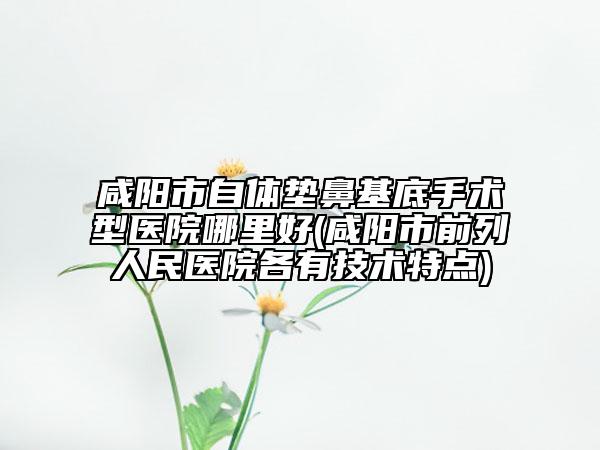 咸陽市自體墊鼻基底手術(shù)型醫(yī)院哪里好(咸陽市前列人民醫(yī)院各有技術(shù)特點)