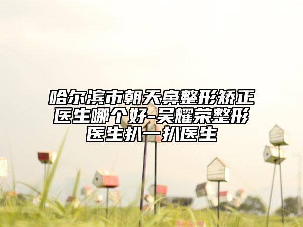 哈爾濱市朝天鼻整形矯正醫(yī)生哪個(gè)好-吳耀榮整形醫(yī)生扒一扒醫(yī)生