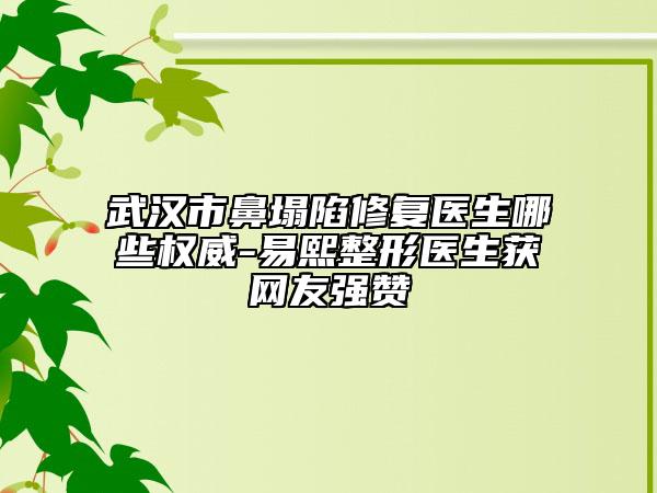武漢市鼻塌陷修復醫(yī)生哪些權威-易熙整形醫(yī)生獲網(wǎng)友強贊