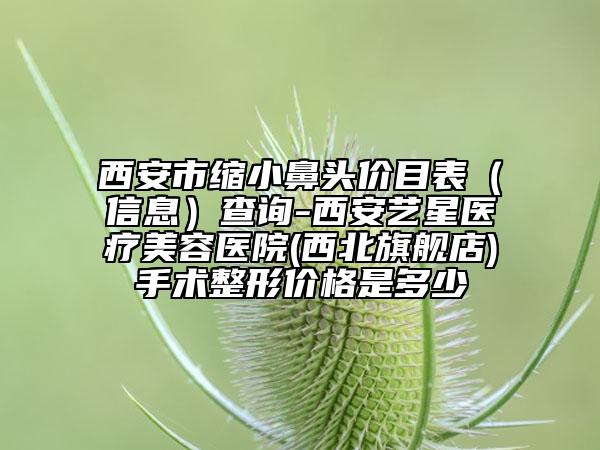 西安市縮小鼻頭價(jià)目表（信息）查詢-西安藝星醫(yī)療美容醫(yī)院(西北旗艦店)手術(shù)整形價(jià)格是多少